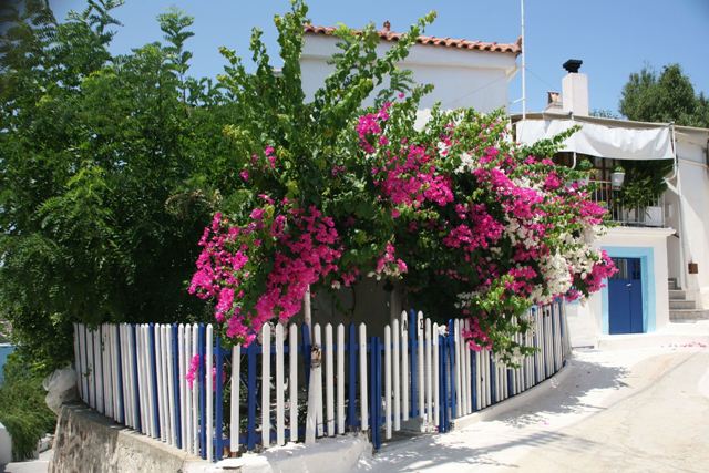 Poros Island - Colourful homes and gardens near the clock-tower